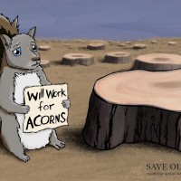 Digital Illustration